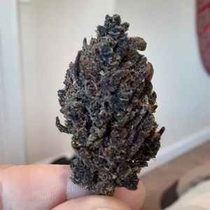 Meet your Posher, Douglas